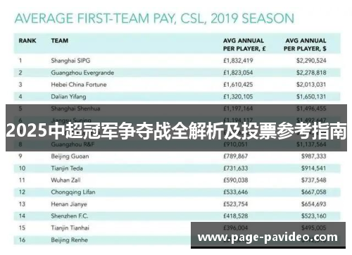 2025中超冠军争夺战全解析及投票参考指南
