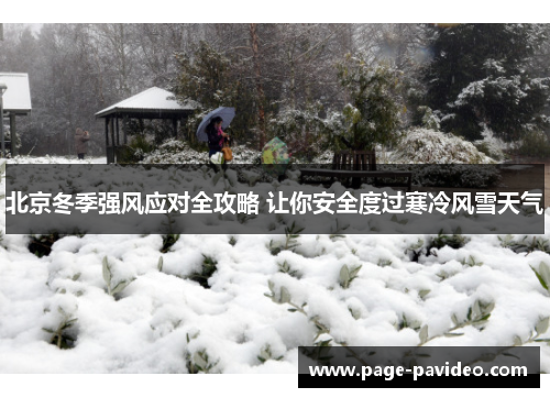 北京冬季强风应对全攻略 让你安全度过寒冷风雪天气
