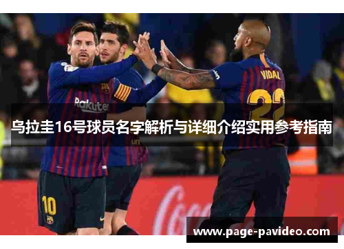 乌拉圭16号球员名字解析与详细介绍实用参考指南