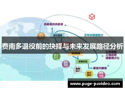 费南多退役前的抉择与未来发展路径分析