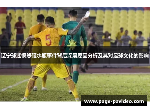 辽宁球迷愤怒砸水瓶事件背后深层原因分析及其对足球文化的影响