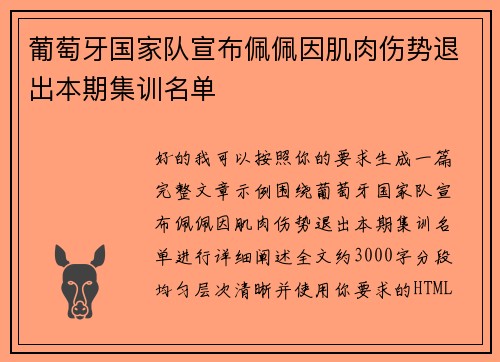 葡萄牙国家队宣布佩佩因肌肉伤势退出本期集训名单